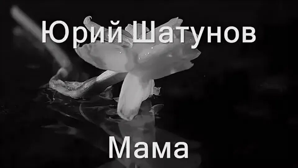 Шатунов мам я бросил курить и ночью. Мама Юрия Шатунова. Мама Юры Шатунова.