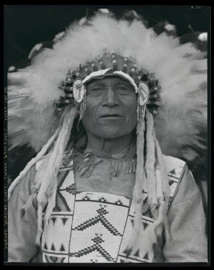 First natives