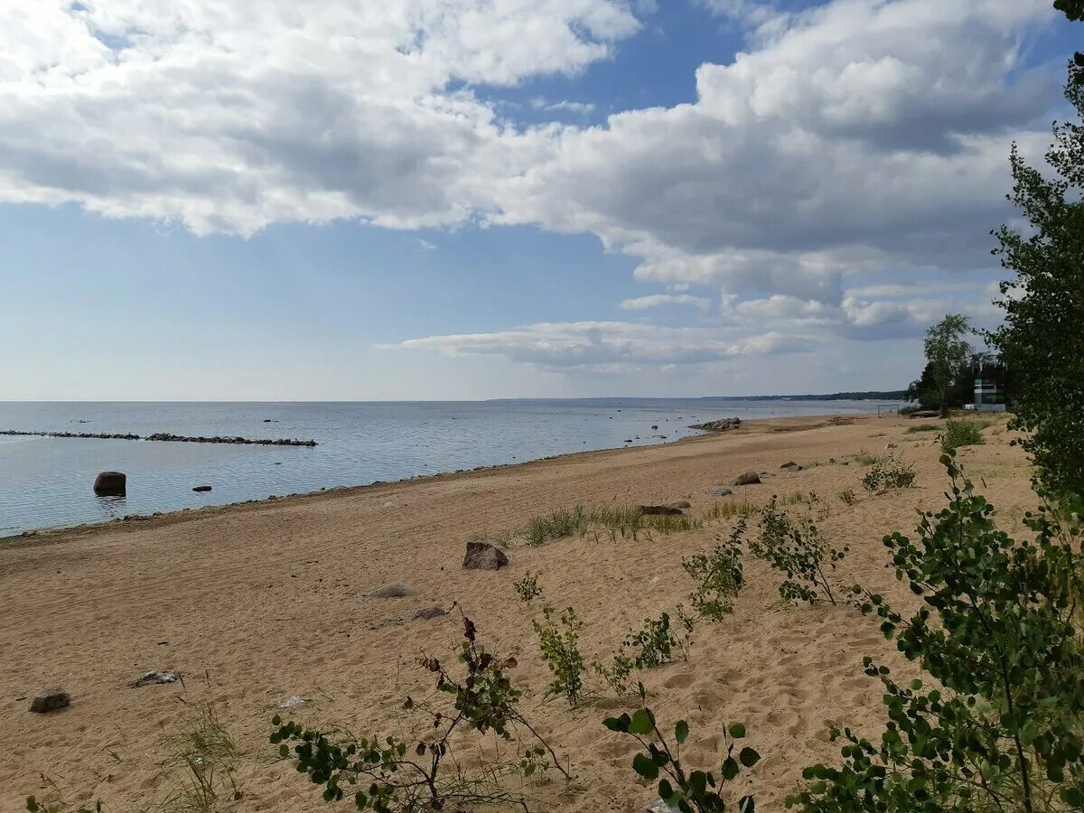 Репино финский залив. Репино парк у пляжа. Пляж чудный санкт петербург. Пляж чудный в репино. Пляж «чудный» пос.
