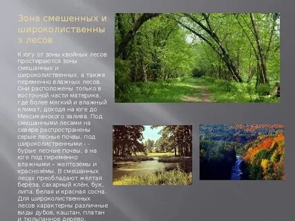 Природная зона севернее хвойных лесов