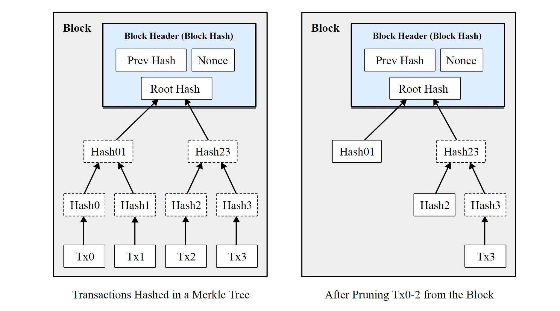 Header hash. Block header. хедер структура. header block electronics. как можно назвать блок header.