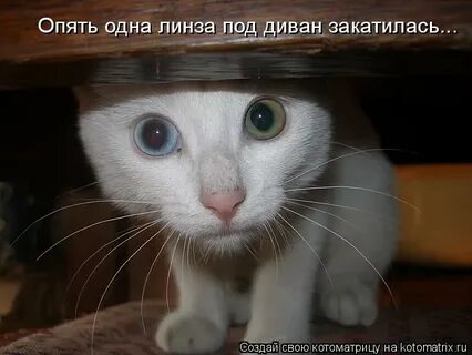 Опять одна