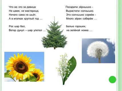 Рос шар бел дунул загадка