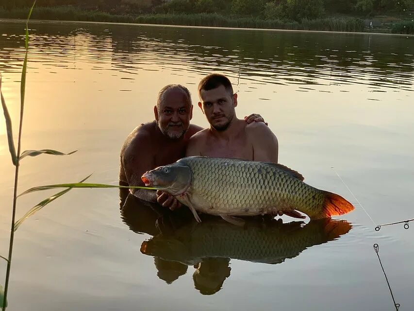 Шевригинское водохранилище рыбалка. Веселовское водохранилище рыбалка. Веселовское водохранилище ростовская область. Сальскфишер. Смазка катушки и шнура для спиннинга.