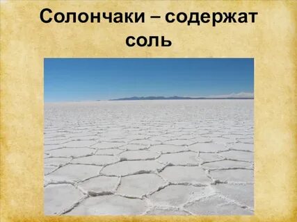 Солончаки природная зона