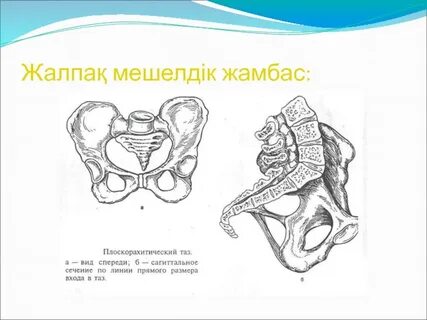 Тар белі кең жамбас порнофотосуреттері