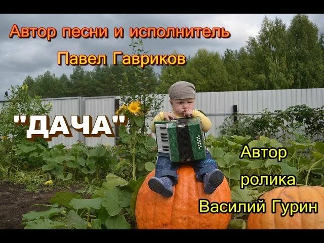Открытки дача огород. Прикольные песни про дачу. Приколы про огород и дачу. Картинки про огород прикольные. Про огород прикольные.