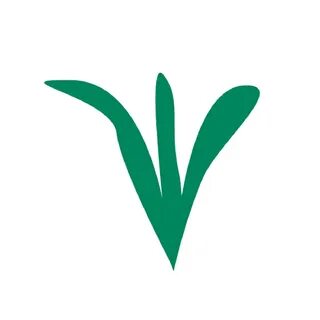 Plant llc