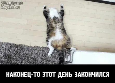 Хорошо закончить день