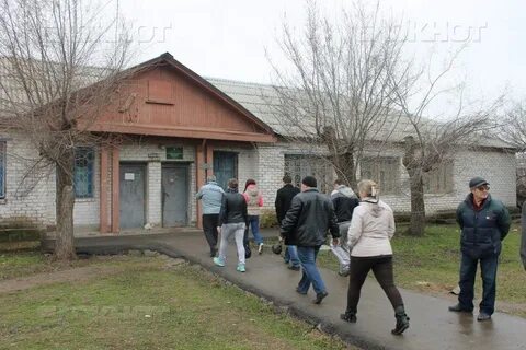 О зеленый волжский
