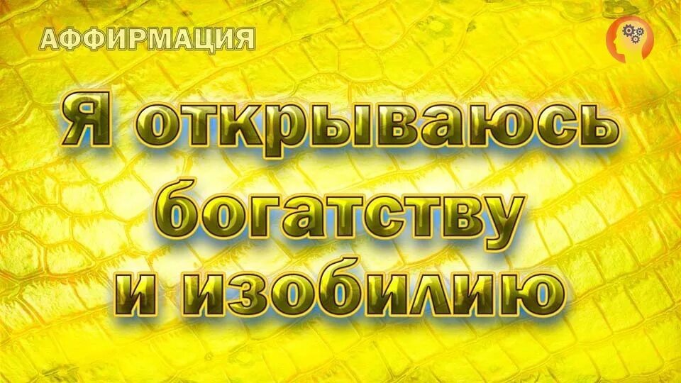 Аффирмация богатства балацкая