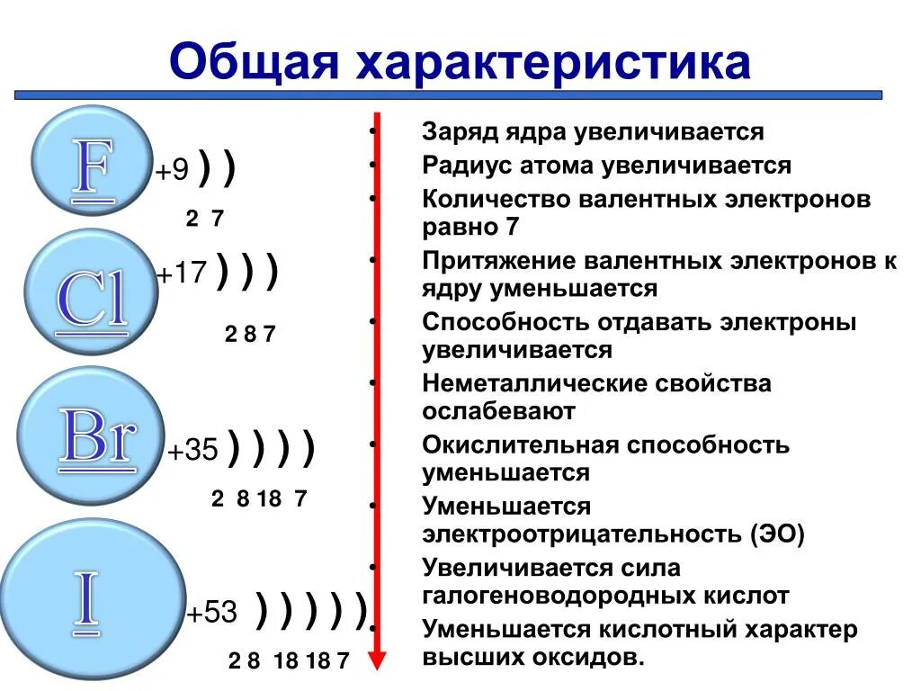 Электронные слои атома фтора. Увеличение силы притяжения валентных электронов к ядру. Притяжение валентных электронов к ядру. Сила притяжения валентных электронов к ядру. Способность отдавать электроны увеличивается.