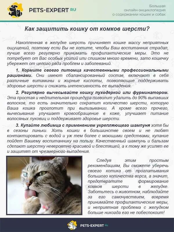 Содержание кошек дома. Для кошек для выведения комков шерсти. как вывести шерсть из желудка кошки в домашних условиях. комки шерсти из желудка у кошки?.