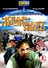 Кедр пронзает