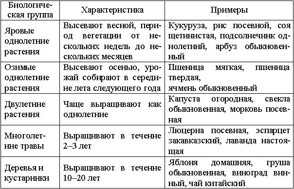 Практическая работа сравни культурные растения. Классификация культурных растений по группам. Культуры растений таблица. Заполните таблицу культурные растения. Полезные свойства культурных растений таблица.