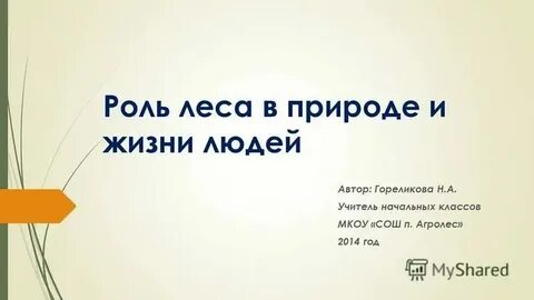 Какую роль играет лес в твоей жизни