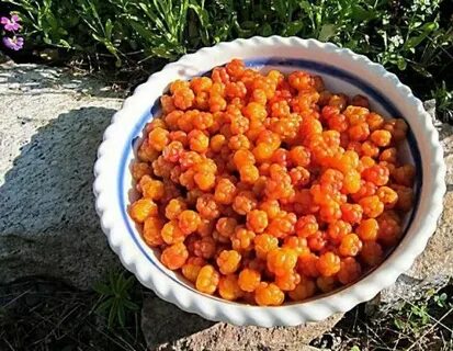 Литр морошки