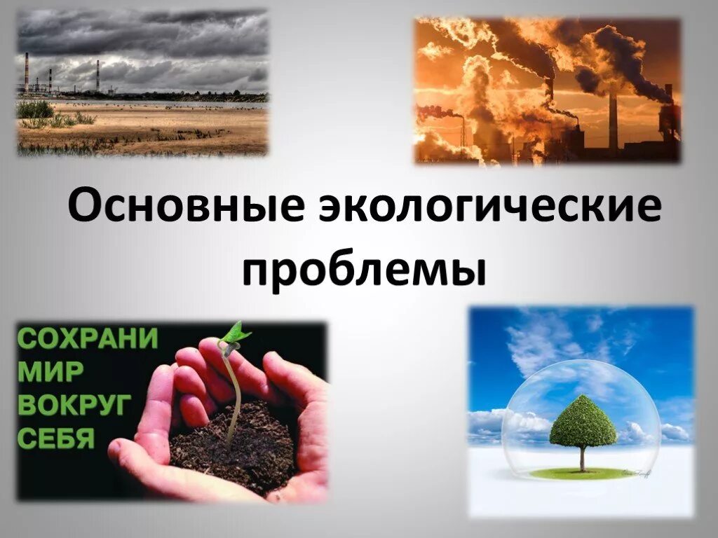 5 экологическая проблема