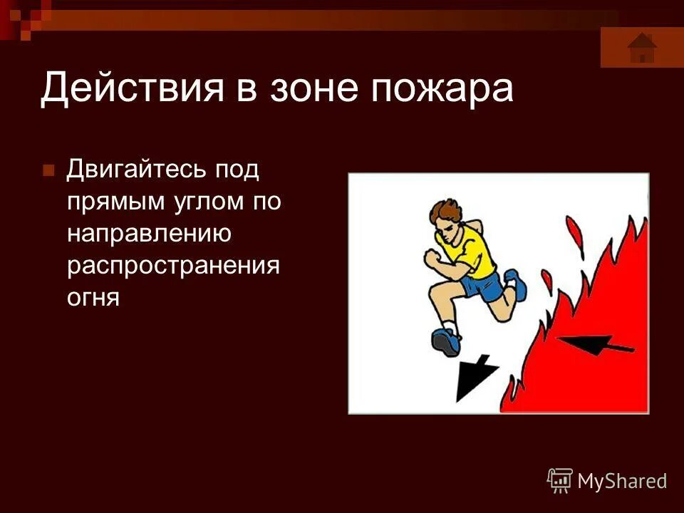 Перпендикулярно направлению ветра при пожаре. Зоны пожара. Выход из зоны лесного пожара. Направление распространения огня. Направление распространения огня.