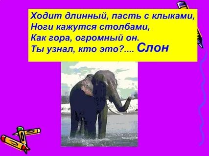 Слон рифма