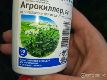 Отрава от борщевика