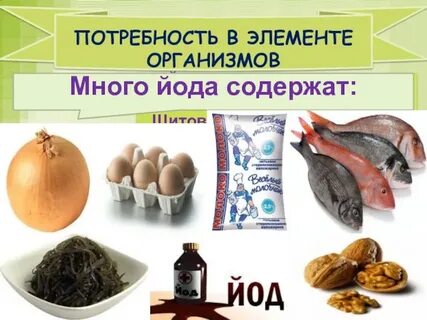 Продукты могут восполнить потребность организма в йоде