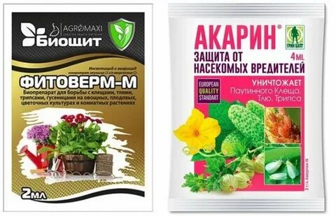 Фитоверм от паутинного клеща