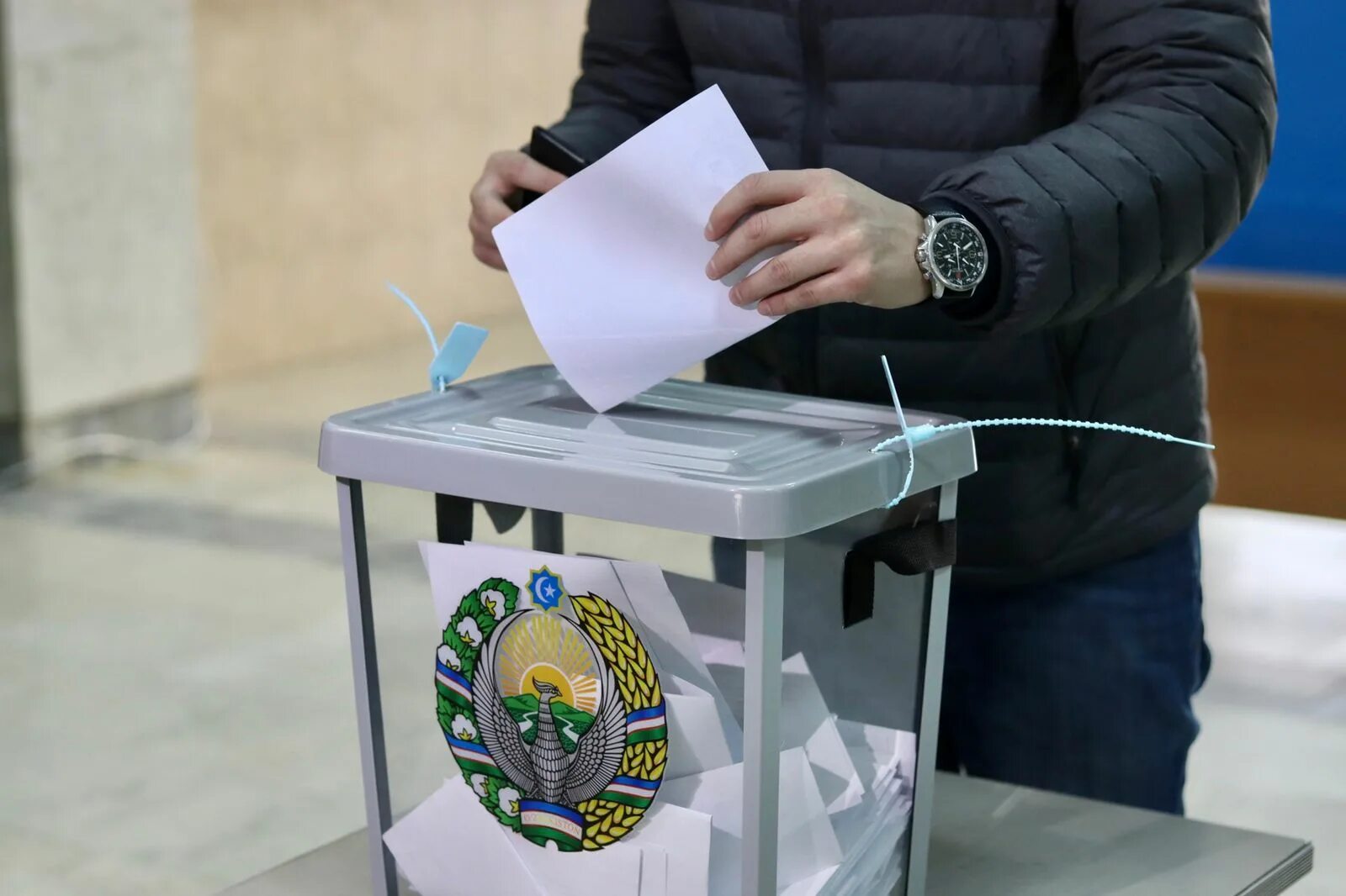Проведение досрочных выборов