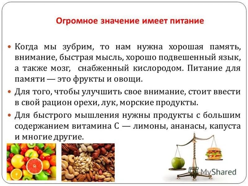 Какое значение имеет питание. Какое значение имеет питание