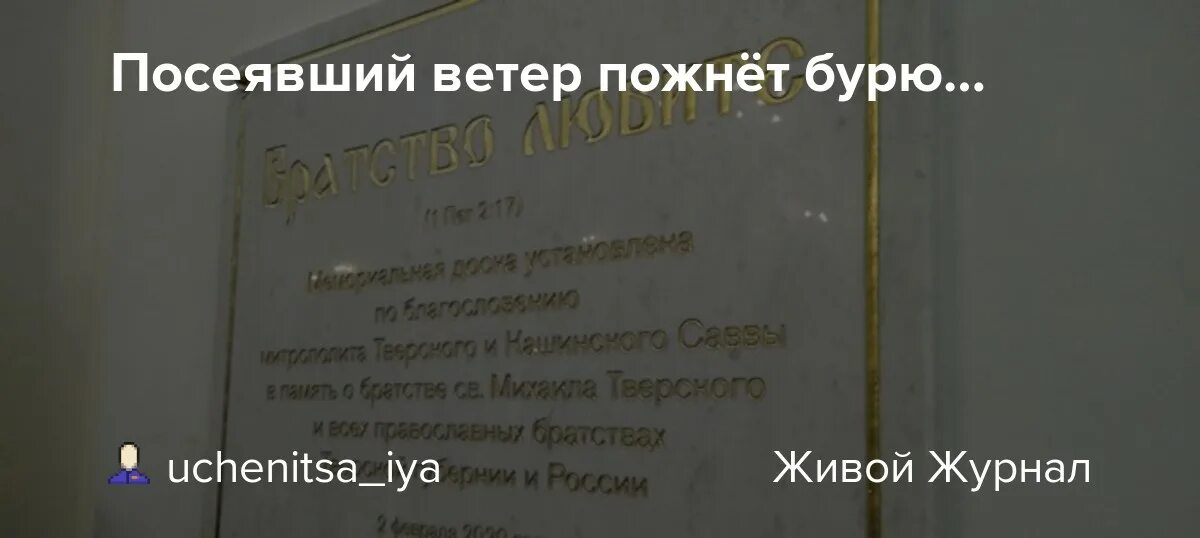 Кто сеет ветер тот пожнет бурю. Посеешь ветер пожнешь бурю Библия. Сеющий ветер пожнет бурю Библия. Посеявший ветер пожнет бурю картинки. Посеяли ветер пожали бурю