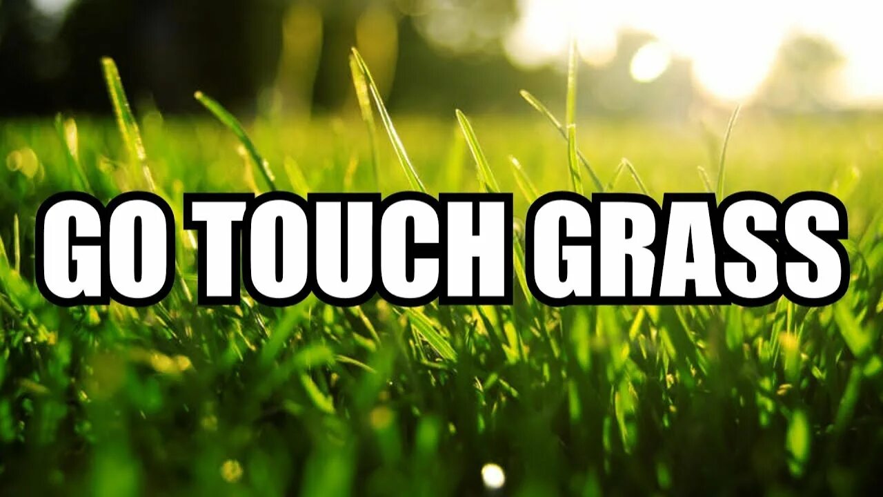 You are the touch. Touch grass. go touch grass. touch some grass. трогать траву.
