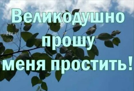 Не извиняйтесь благодарите