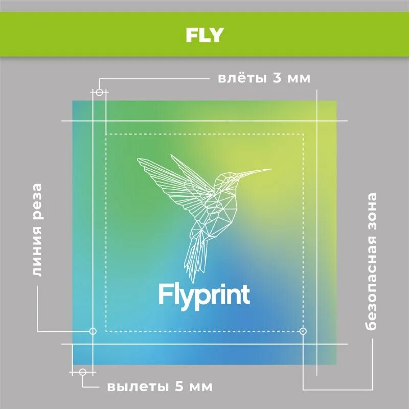 Non fly zone. No flies перевод. No fly zone плакат. No flies перевод. No fly.