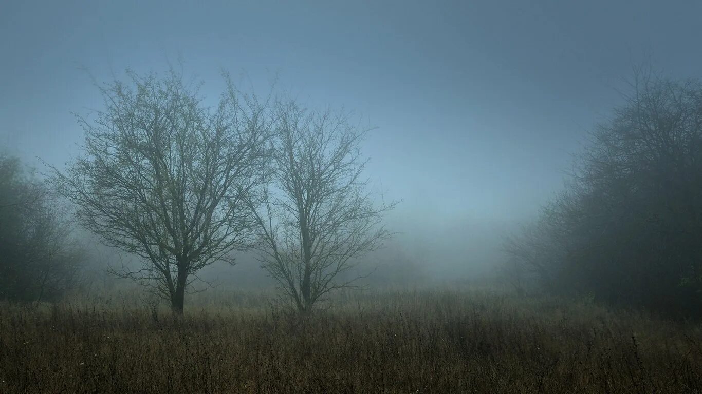 Белесая мгла. Кейт бекинсейл мгла. Белая мгла whiteout (2009). Кейт бекинсейл мгла. Кейт бекинсейл белая мгла.