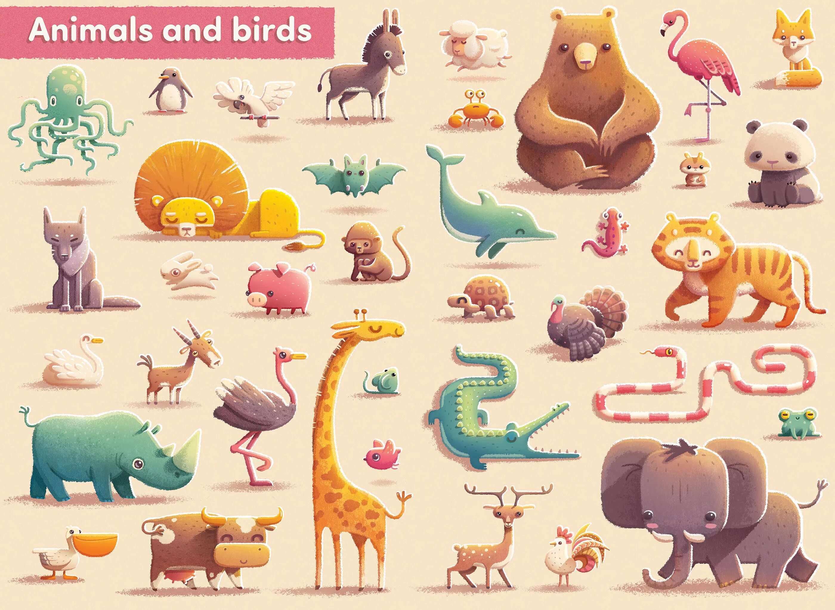 Animals designed. Животные иллюстрации. Постеры с животными. Стоковые иллюстрации животных. Иллюстрации животных в иллюстраторе.