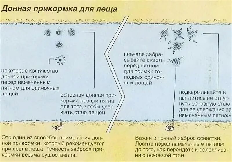 Прикормка на леща. Приманка на леща летом на течении. Прикормка на леща зимой своими руками. Прикормка для рыбалки на леща.