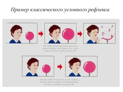 Условные рефлексы