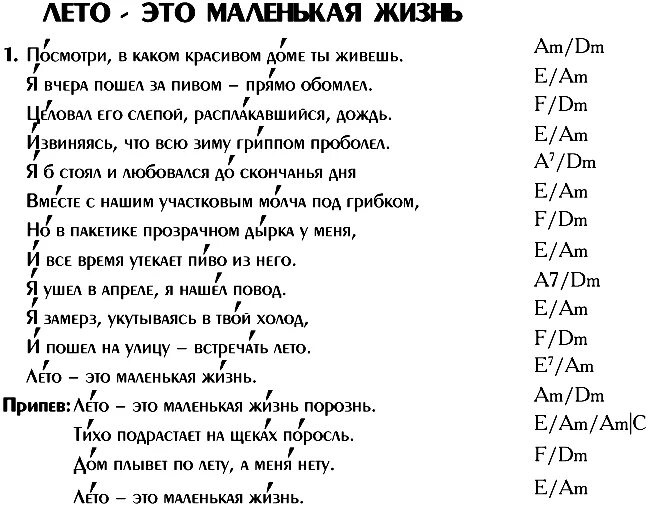 Слова песни лето это маленькая жизнь. Лето это маленькая жизнь текст песни. Слова песни лето это маленькая жизнь Митяев. Лето это маленькая жизнь слова текст.