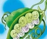 Произведение пятеро из одного стручка. Андерсен пятеро из одного стручка. сказка андерсена пять горошин. иллюстрация к сказке андерсена пятеро из одного стручка. пятеро из одного стручка х.к андерсен.