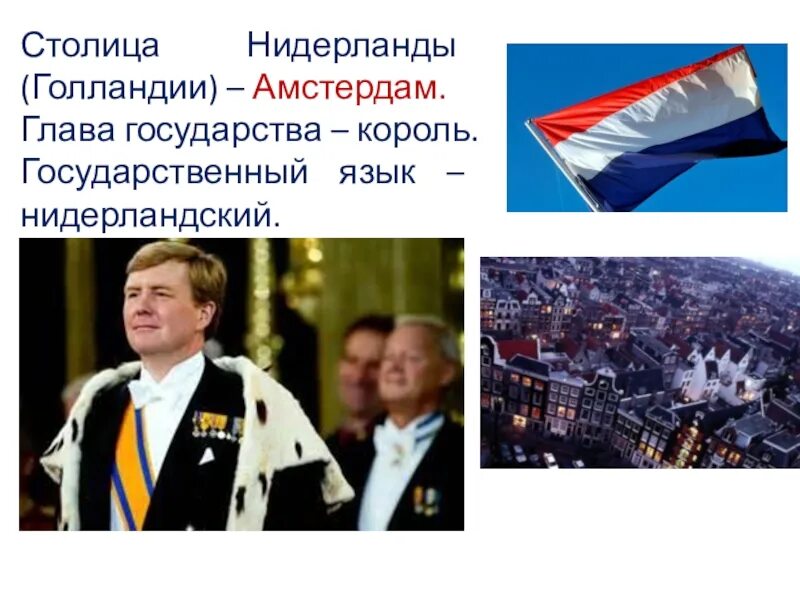 Кто был назначен главой государства в нидерландах. Король нидерландов. Нидерланды политический режим. Правитель голландии сейчас. Голландия форма государственного устройства.