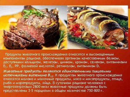 Биологическая ценность мяса