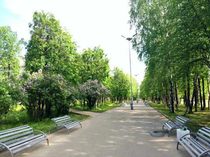 Аллея йошкар ола. Аллея здоровья йошкар ола. Аллея здоровья в йошкар-оле беседки. Аллея здоровья йошкар-ола фото. Йошкар-ола аллея.