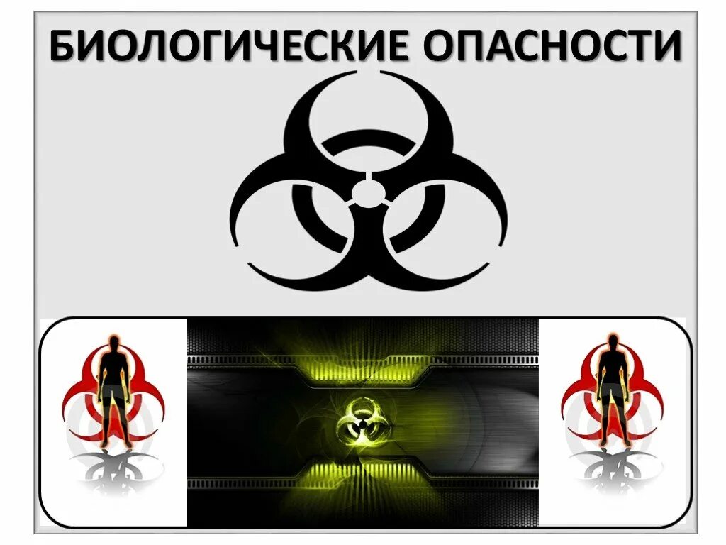 Какая опасность относится к биологическим. Биологическая опасность. биологическая опасность презентация. биологические опасности для человека. классы биологической опасности.