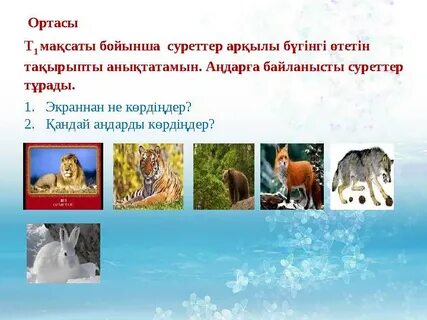 Әуесқойлардың қос ену фотосуреттері