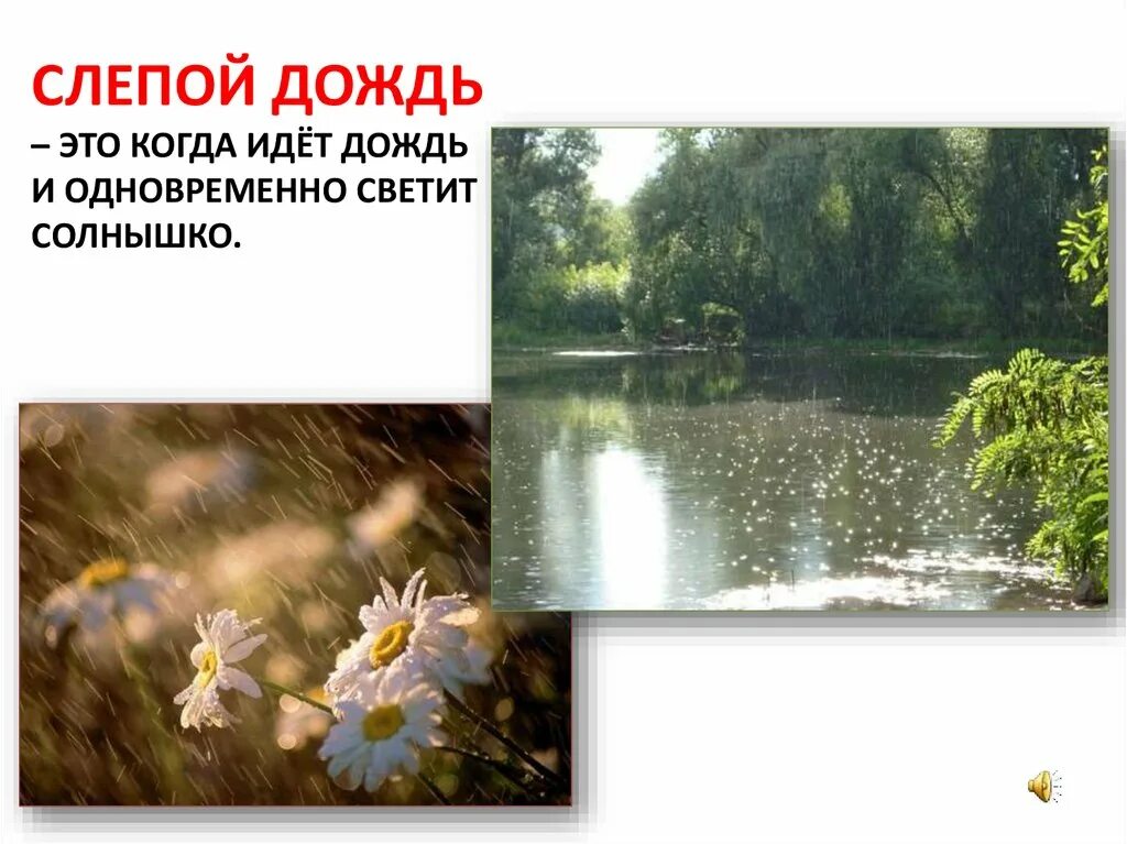 Какие есть дожди. Какие есть дожди. Какие есть дожди. Художественное описание дождя. Дожди моросящие слепые обложные грибные спорые.