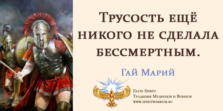 Трусость несомненно один из самых страшных пороков. Марий цитаты. цитаты гая мария. гай марий цитаты. трусость цитаты великих людей.
