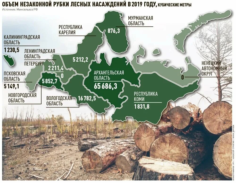 В каких странах есть леса. Лесозаготовка Северо Запада карта. Вырубка лесов в России статистика. Статистика вырубки лесов по годам. Статистика по вырубке лесов в мире.