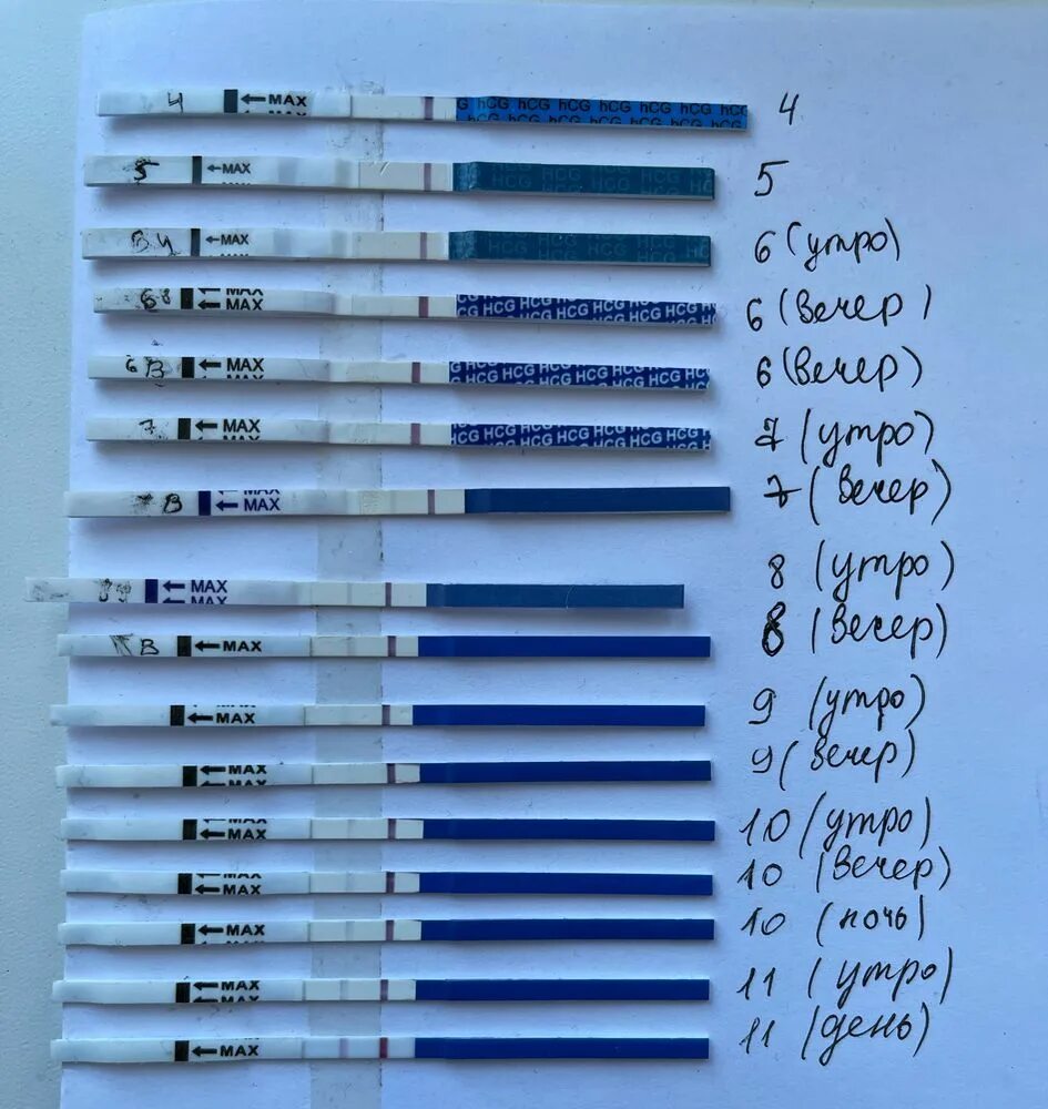 9 дпп тесты форум. 4дпп тест на беременность. 4 ДПП тест. 6-7 ДПП пятидневок. 6 ДПП тест.