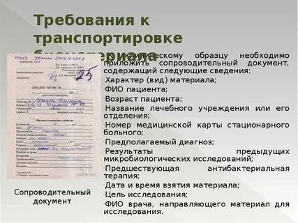 Как оформить анализ