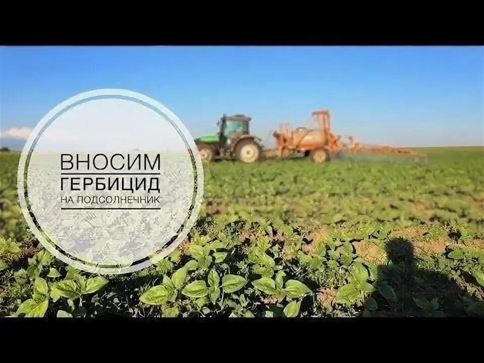 Каптора плюс гербицид. Акзифор гербицид. рейсер гербицид. каптора гербицид фото. сингента каптора.